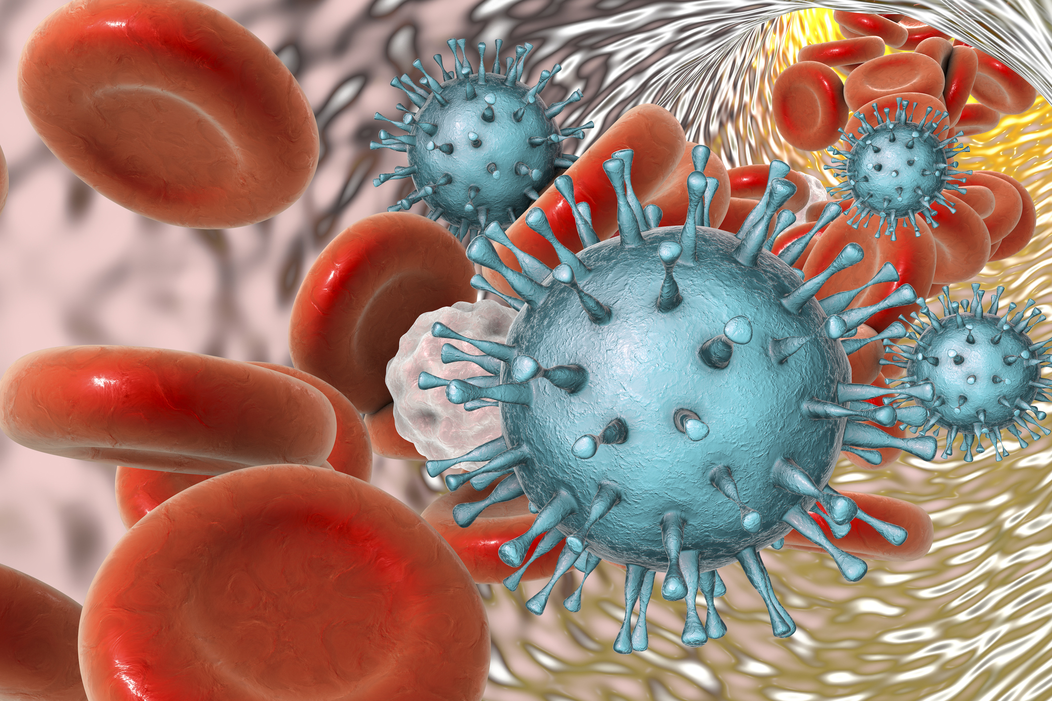 Citomegalovirus v krvi