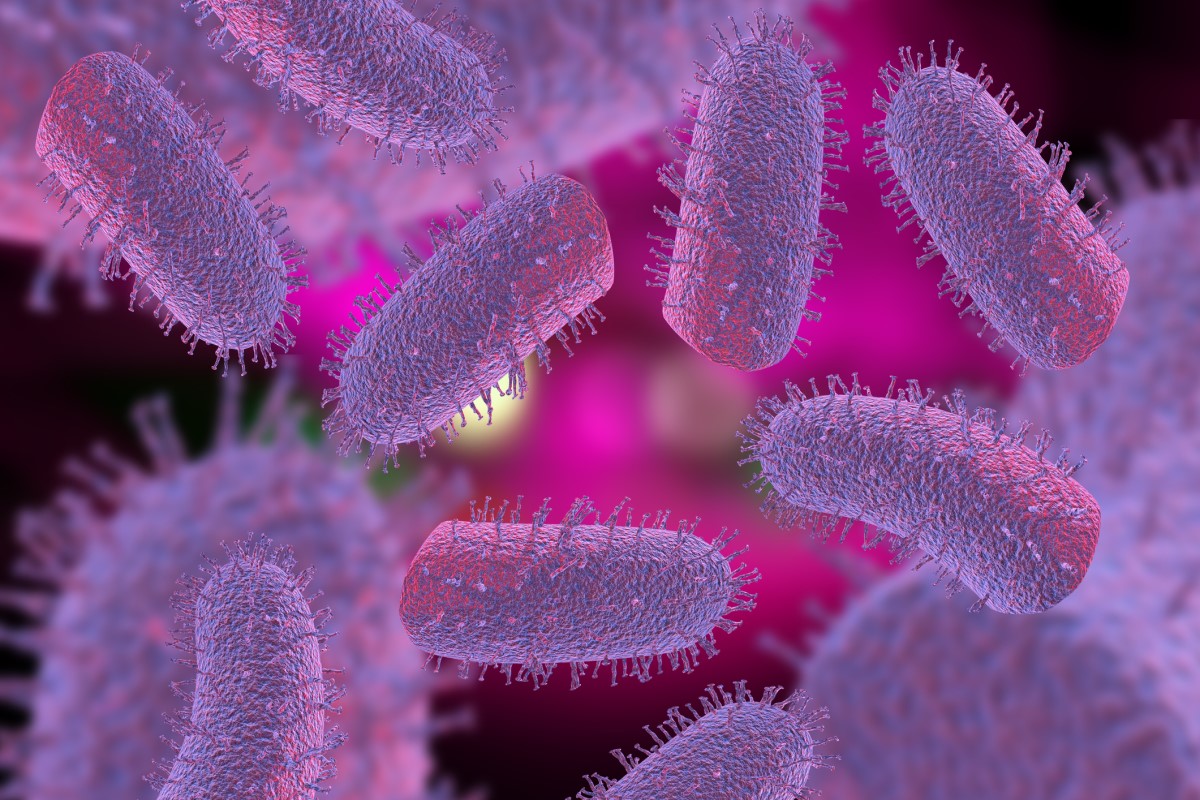 Lyssavirus - Lyssa virus - 3D predstavitev virusov stekline