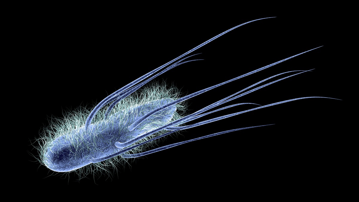 3D predstavitev bakterije Escherichia coli