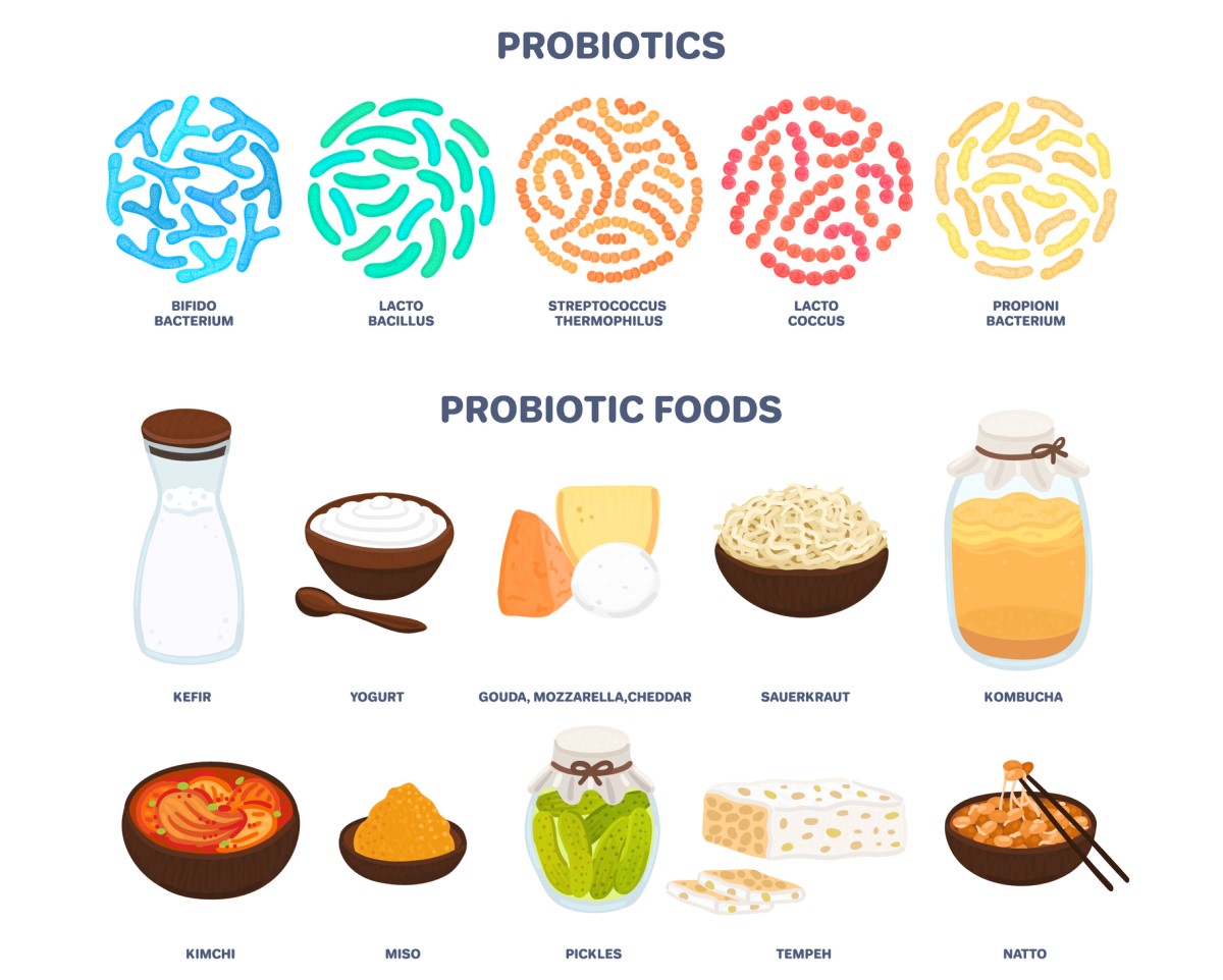 Probiotiki: probiotiki v prehrani, ki spreminjajo bakterijsko ravnovesje in delovanje prebavnega trakta - kefir, jogurt, sir - gouda, mocarela, čedar, kombucha, kimči, kisle kumare itd.