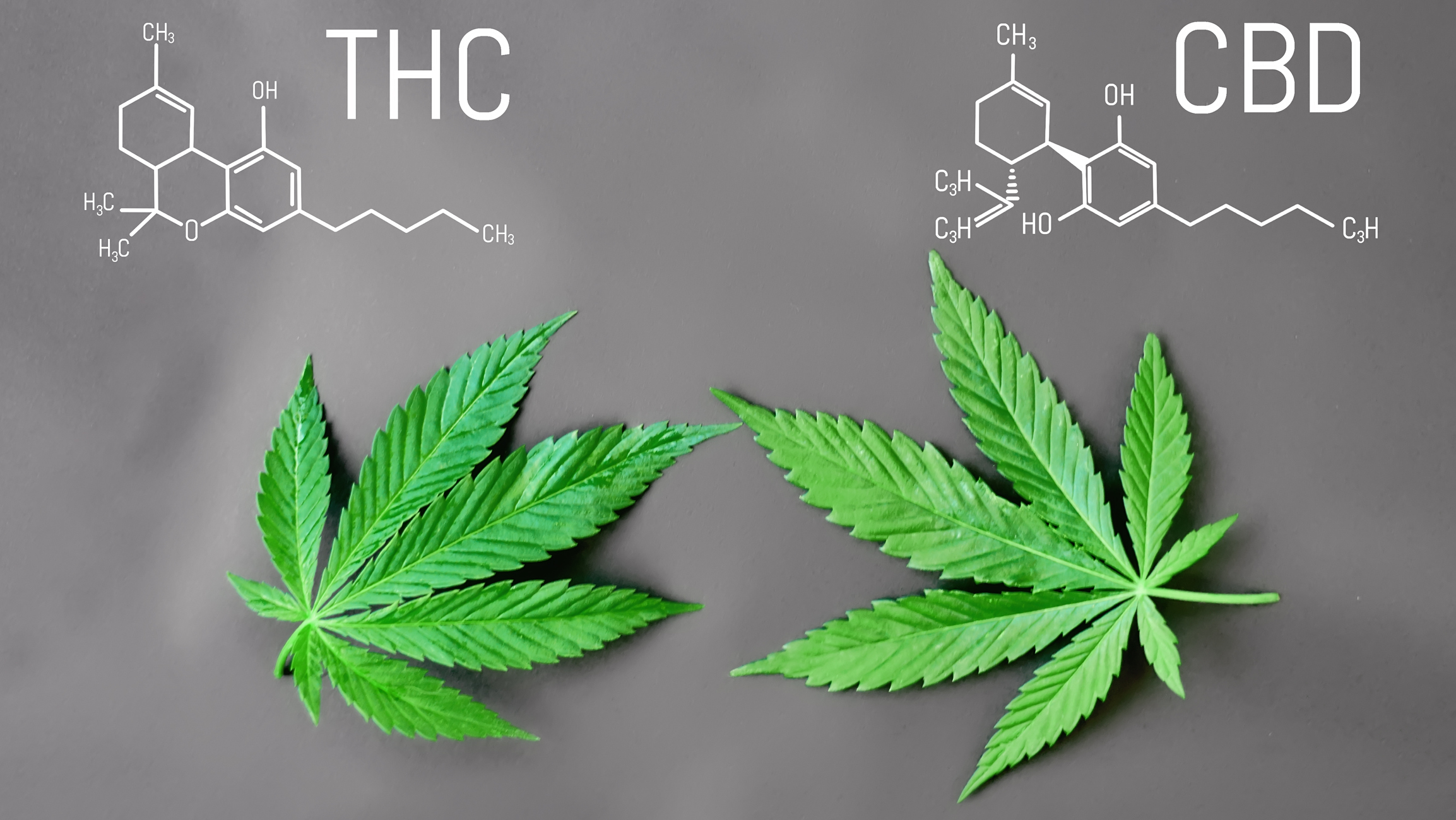 Molekula THC in CBD