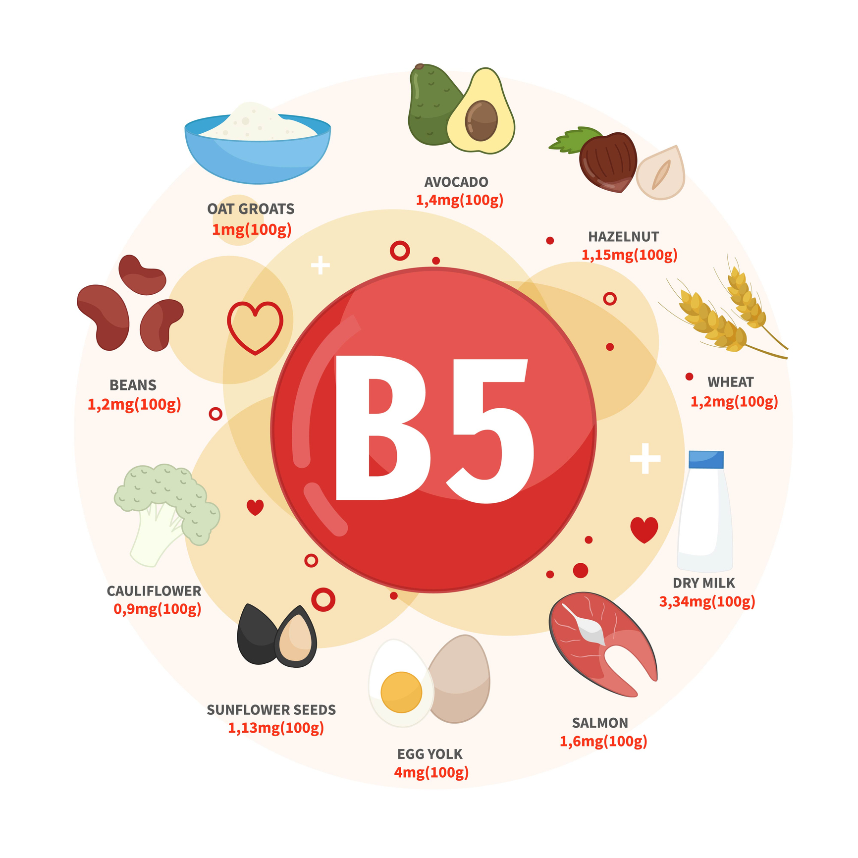 Najboljši viri vitamina B5 so avokado, lešniki, pšenica, mleko, losos, jajca, sončnična semena, cvetača, fižol, ovsena kaša. 