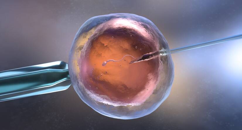 In vitro oploditev IVF. Vir: Getty Images