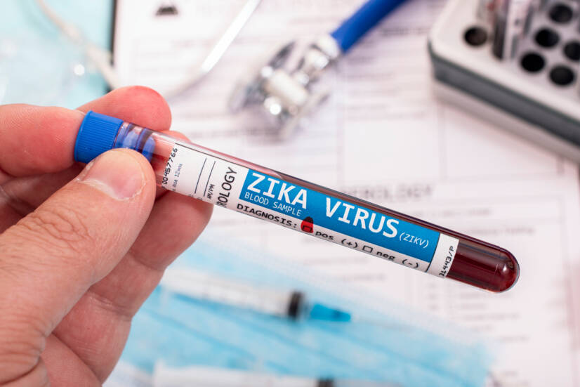 Virus Zika: kaj je, kako se prenaša in kakšni so simptomi?