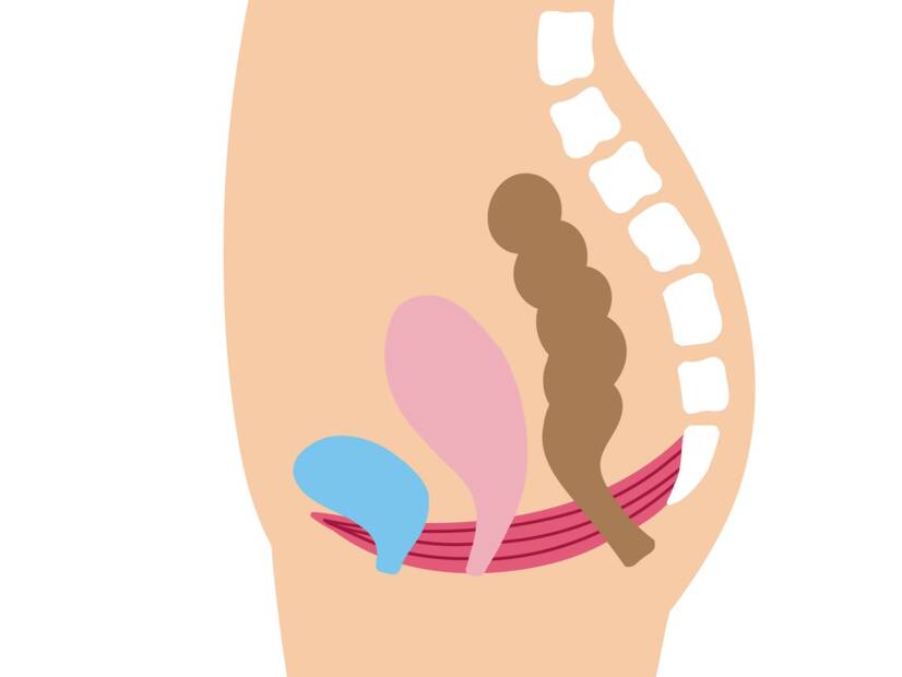 Medenično dno: kakšna je njegova funkcija in pomen pri ženskah + Vaje za krepitev in sprostitev